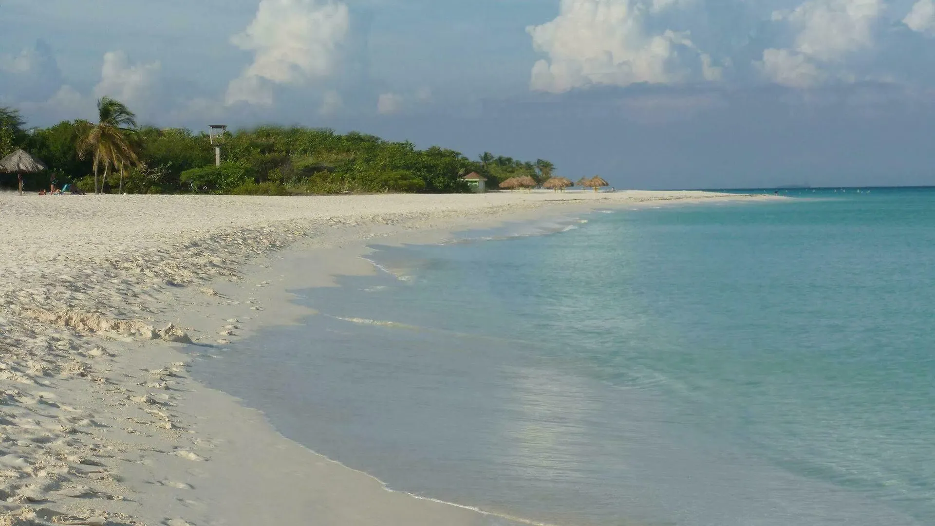 Mvc Eagle Beach Παλμ Μπιτς Ξενοδοχείο